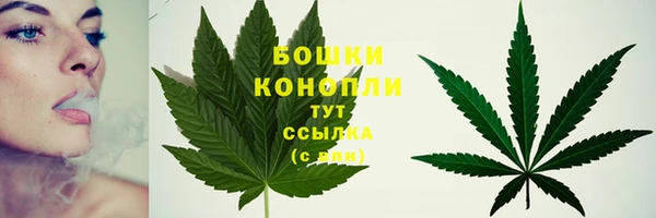 первитин Пестово