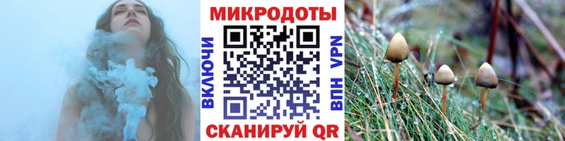 купить наркотики цена  Михайловск  Галлюциногенные грибы прущие грибы 